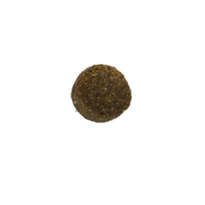ピナクル トラウト＆パンプキン 80g/1.2kg/4.0kg/8.0kg 画像5